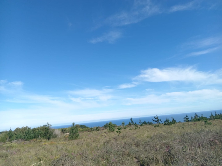 Commercial Property for Sale in Kranshoek AH Western Cape